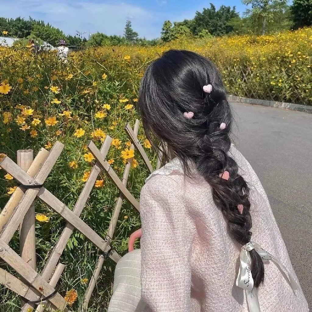 履历